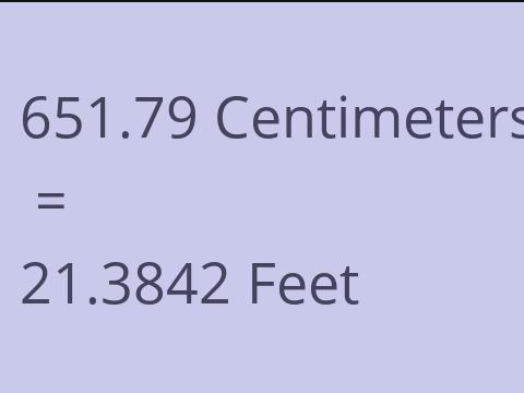 651.79 CM TO FEET