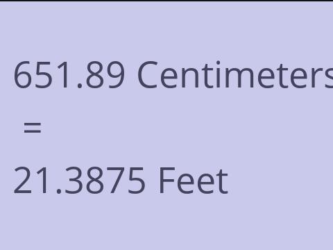 651.89 CM TO FEET