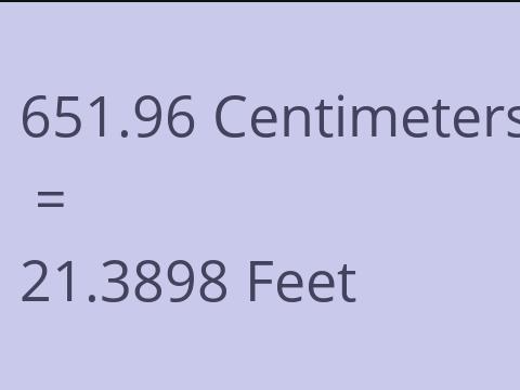 651.96 CM TO FEET