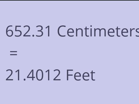 652.31 CM TO FEET