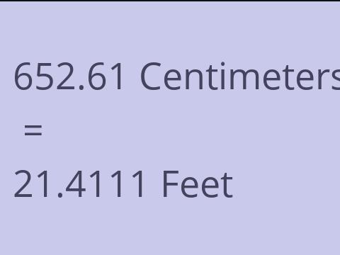 652.61 CM TO FEET