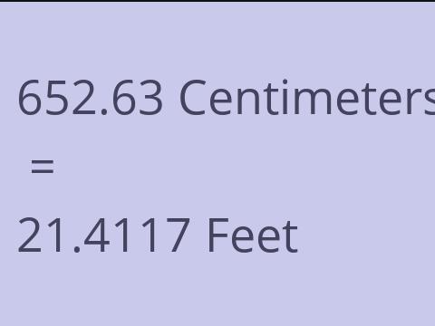 652.63 CM TO FEET