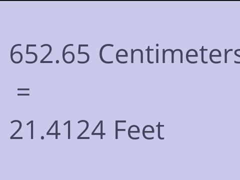 652.65 CM TO FEET