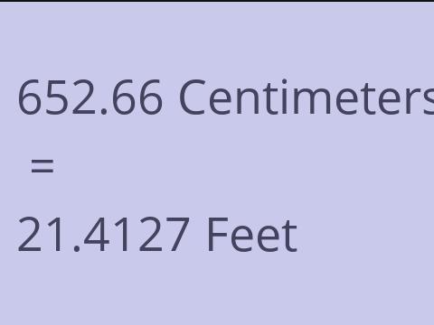 652.66 CM TO FEET