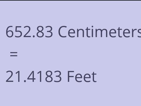 652.83 CM TO FEET