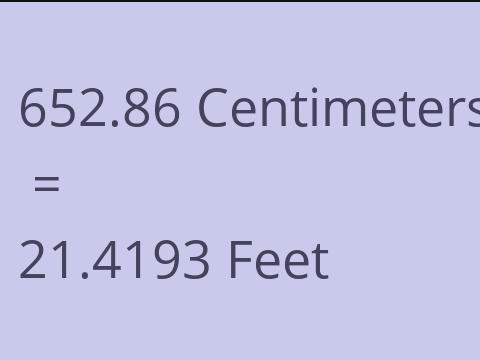 652.86 CM TO FEET