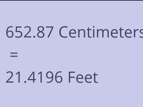 652.87 CM TO FEET