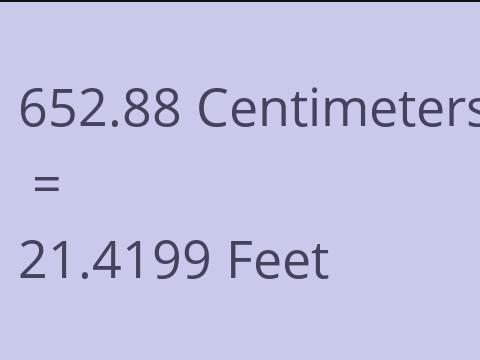 652.88 CM TO FEET