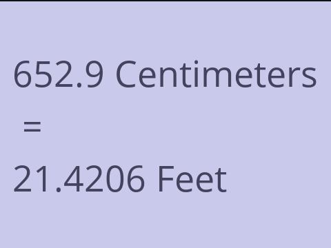 652.9 CM TO FEET