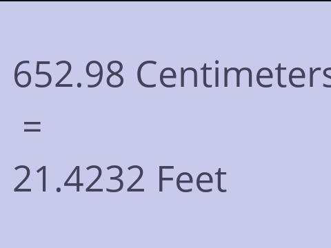 652.98 CM TO FEET