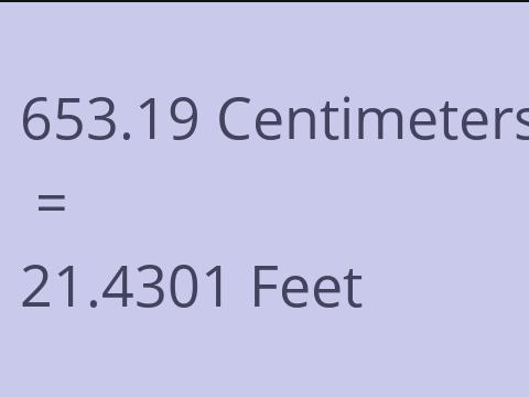 653.19 CM TO FEET