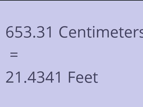 653.31 CM TO FEET