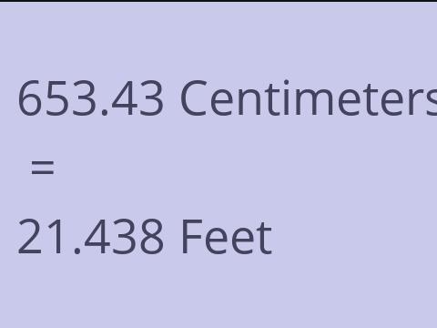 653.43 CM TO FEET