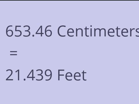 653.46 CM TO FEET