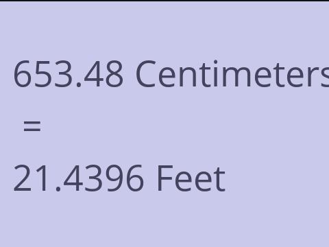 653.48 CM TO FEET