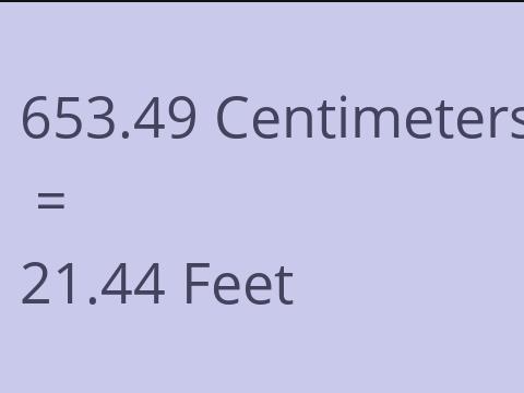 653.49 CM TO FEET