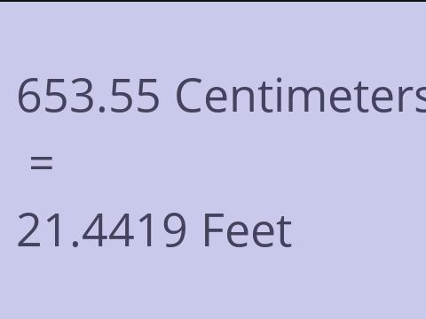 653.55 CM TO FEET