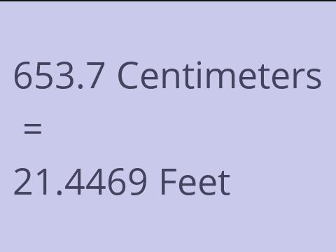 653.7 CM TO FEET