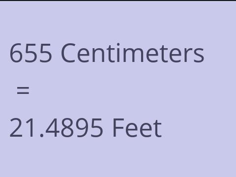 655 CM TO FEET