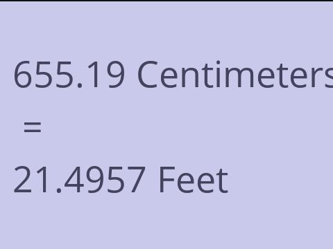 655.19 CM TO FEET