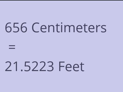 656 CM TO FEET