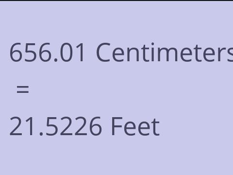 656.01 CM TO FEET