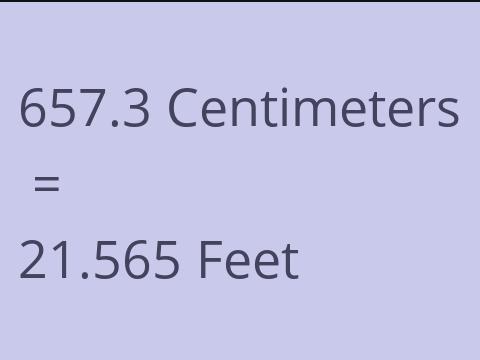 657.3 CM TO FEET