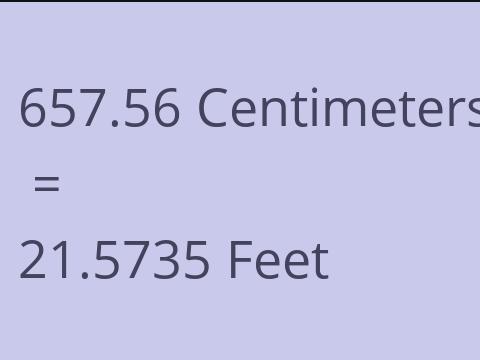 657.56 CM TO FEET