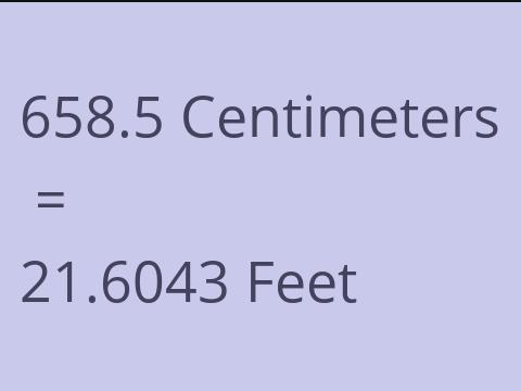 658.5 CM TO FEET