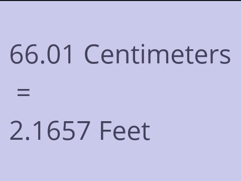 66.01 CM TO FEET