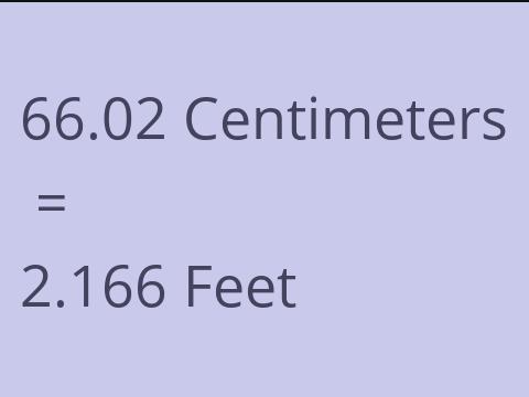 66.02 CM TO FEET