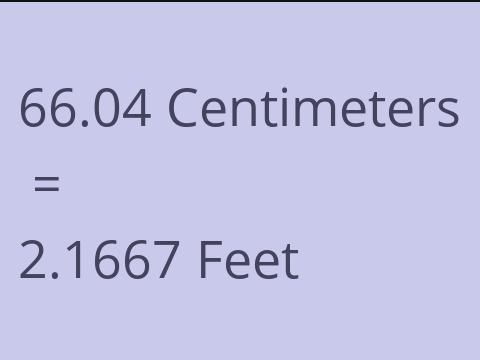 66.04 CM TO FEET