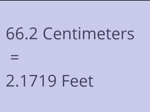 66.2 CM TO FEET