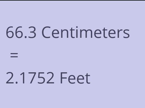 66.3 CM TO FEET