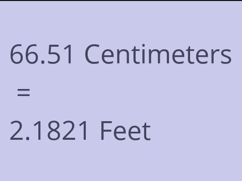 66.51 CM TO FEET