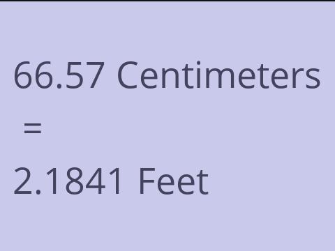 66.57 CM TO FEET