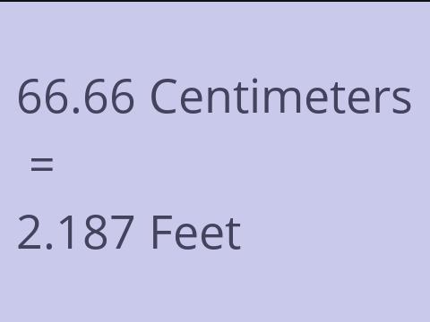 66.66 CM TO FEET