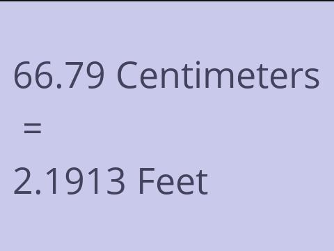 66.79 CM TO FEET