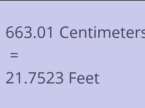 663.01 CM TO FEET