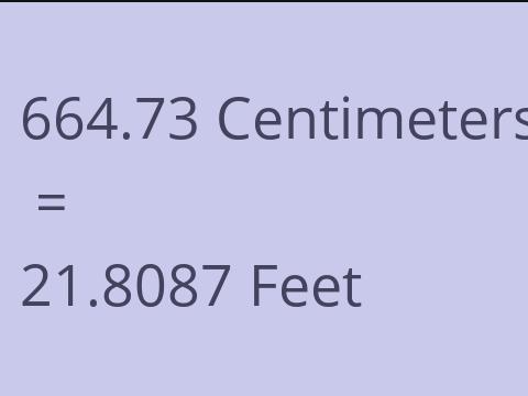 664.73 CM TO FEET