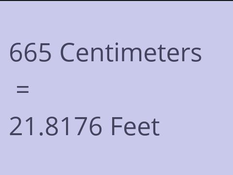 665 CM TO FEET