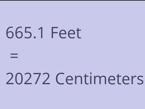 665.1 FEET TO CM