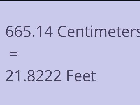 665.14 CM TO FEET