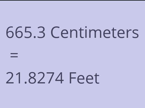 665.3 CM TO FEET