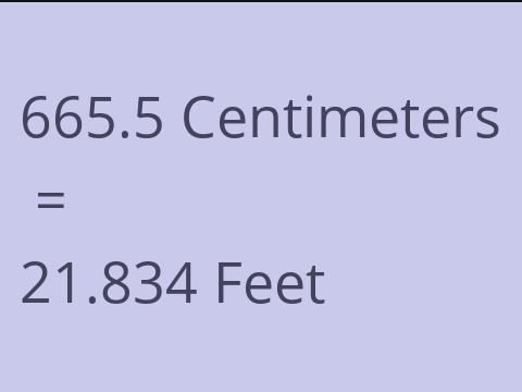 665.5 CM TO FEET