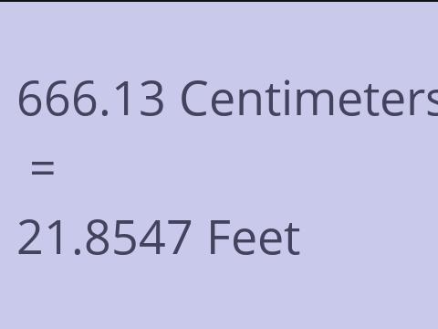 666.13 CM TO FEET