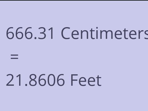 666.31 CM TO FEET