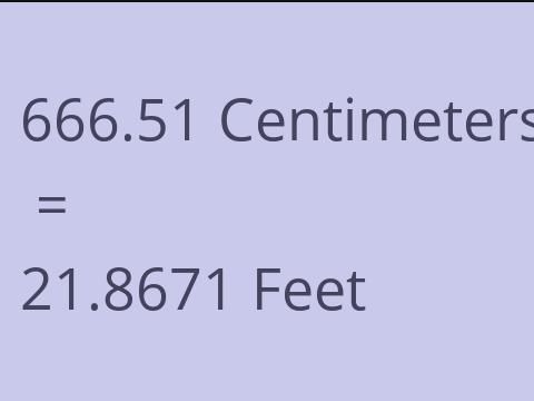 666.51 CM TO FEET