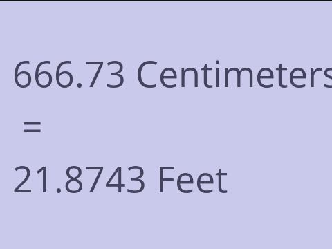 666.73 CM TO FEET