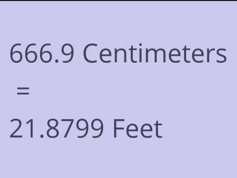 666.9 CM TO FEET